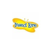 Store Brand Image