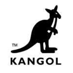 Store Brand Image